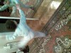 28022009.jpg